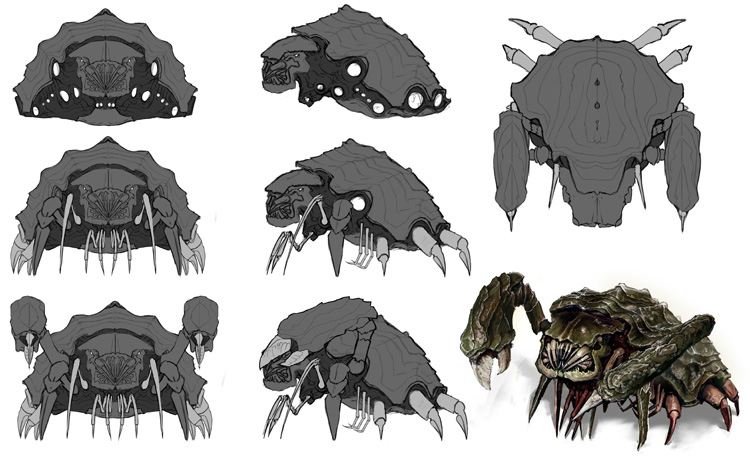 Crab Modelsheet